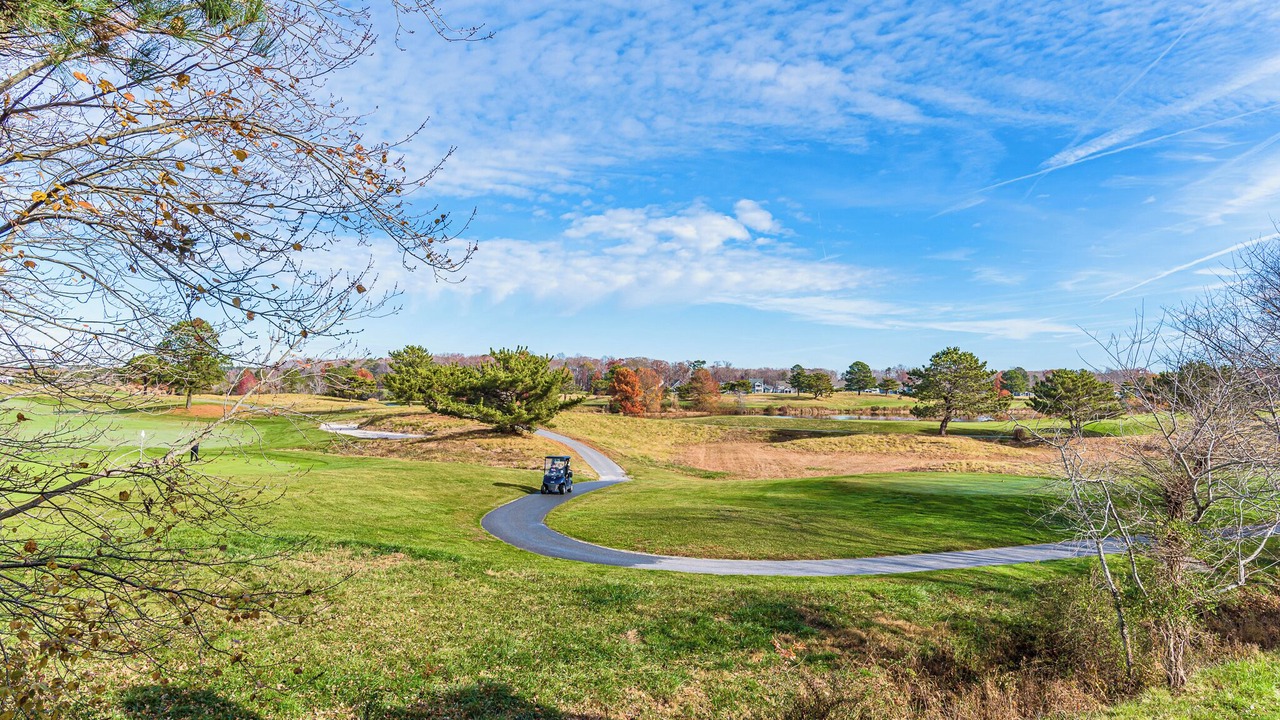 Photo of Others in Ocean View