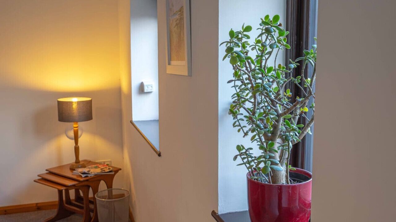 Photo of Others in Stelling Minnis