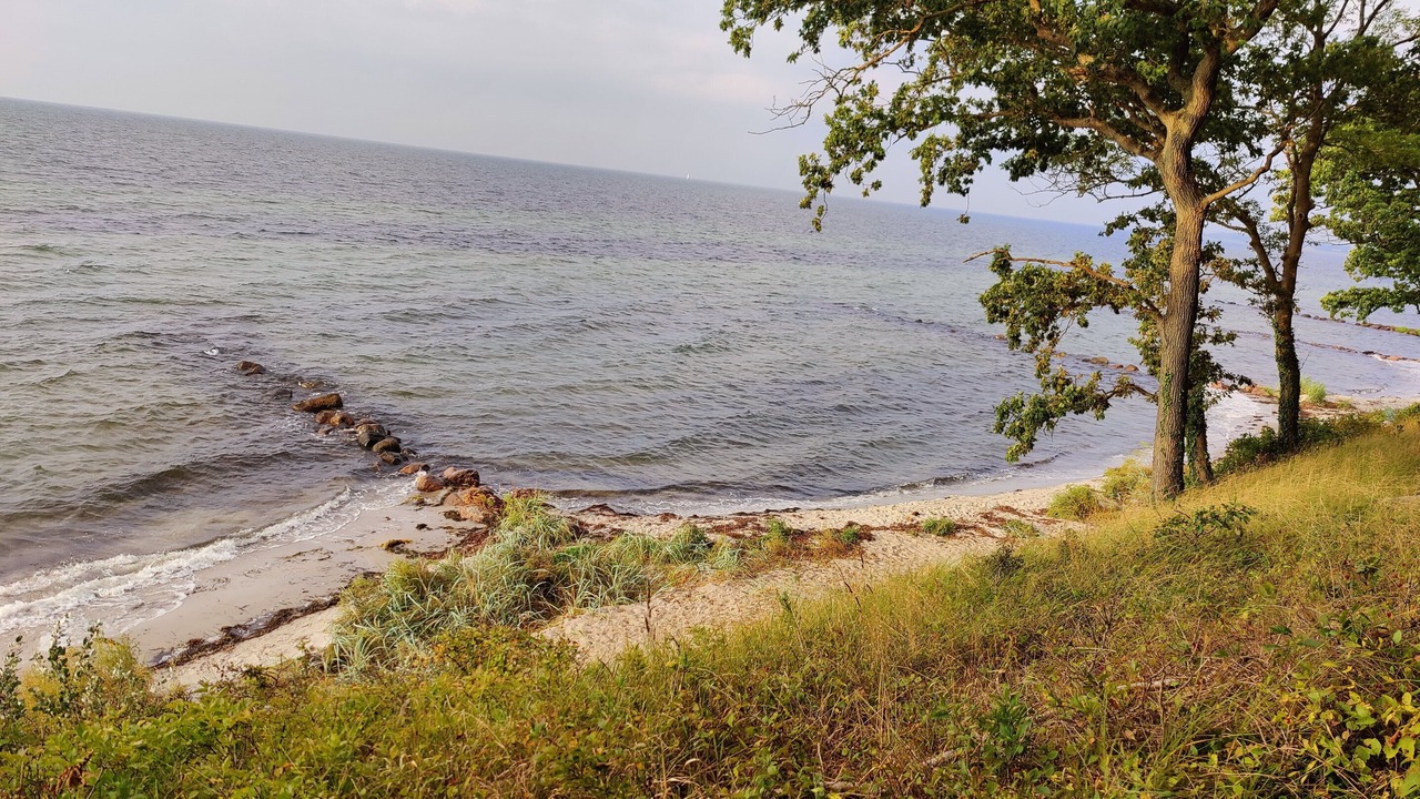 Photo of Others in Bisserup
