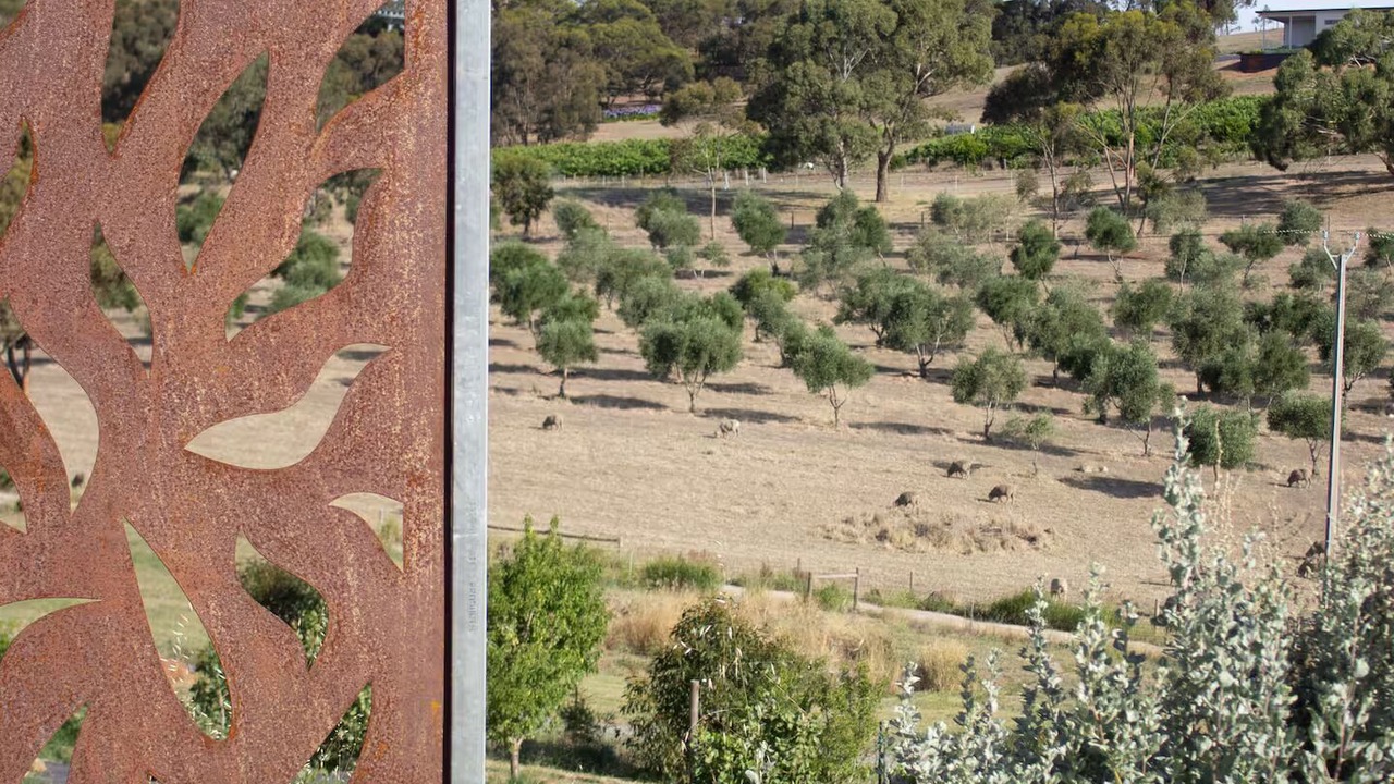 Photo of Outdoor in Angaston