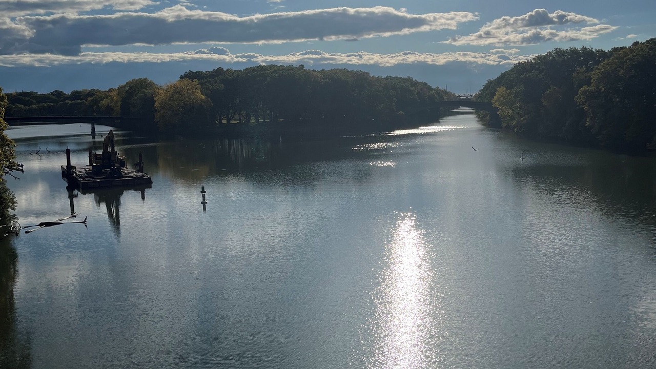 Photo of Others in Rochester