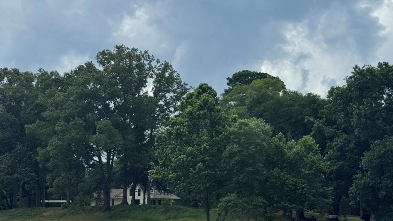 Photo of Others in Kelly