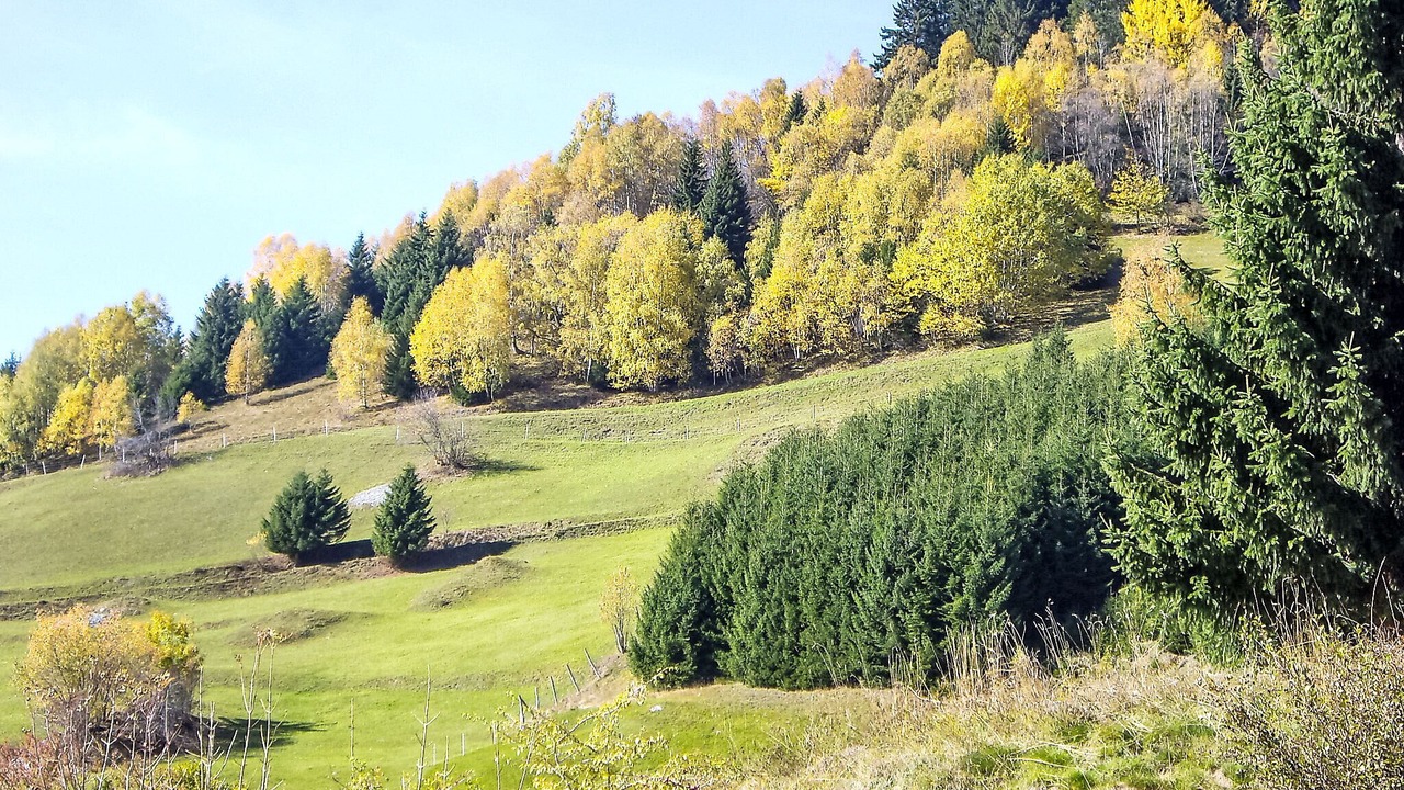 Photo of Outdoor in Acletta