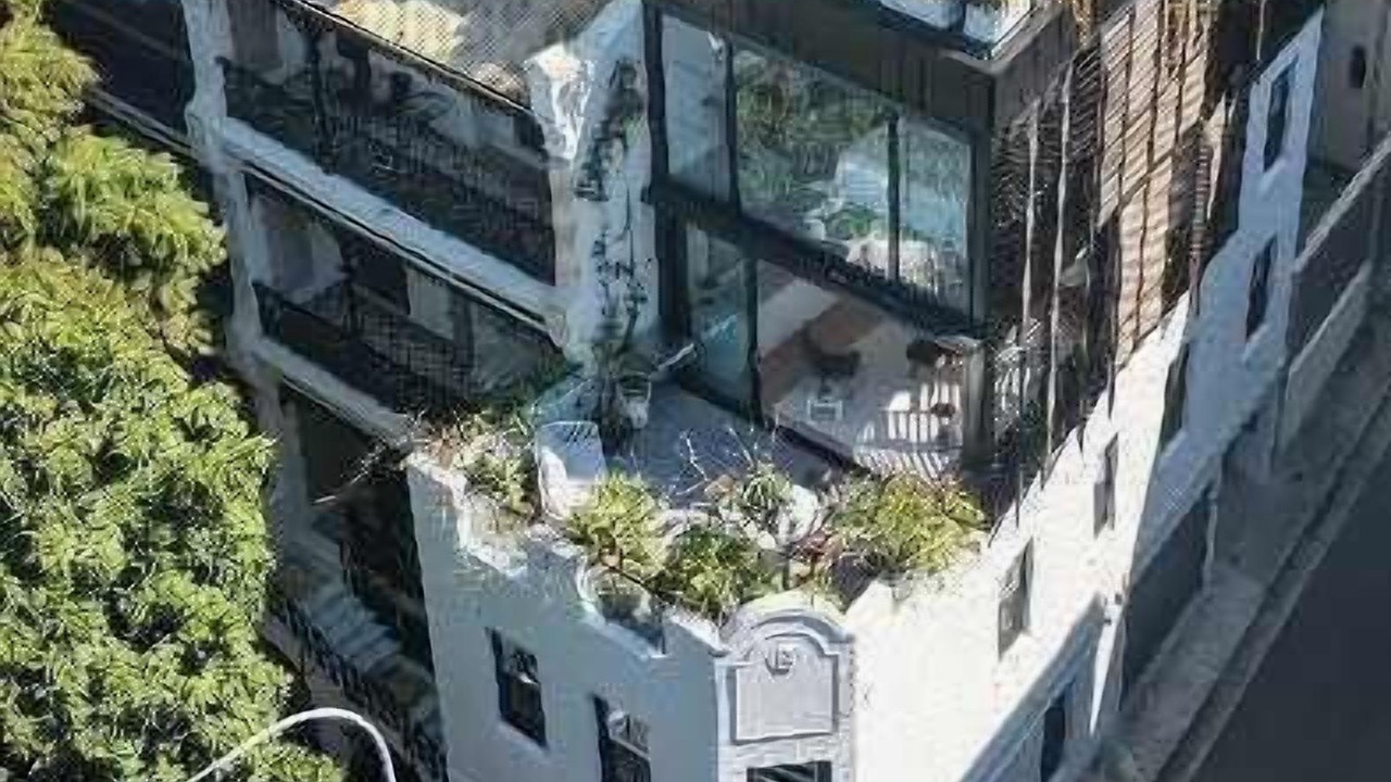 Photo of Others in Elizabeth Bay