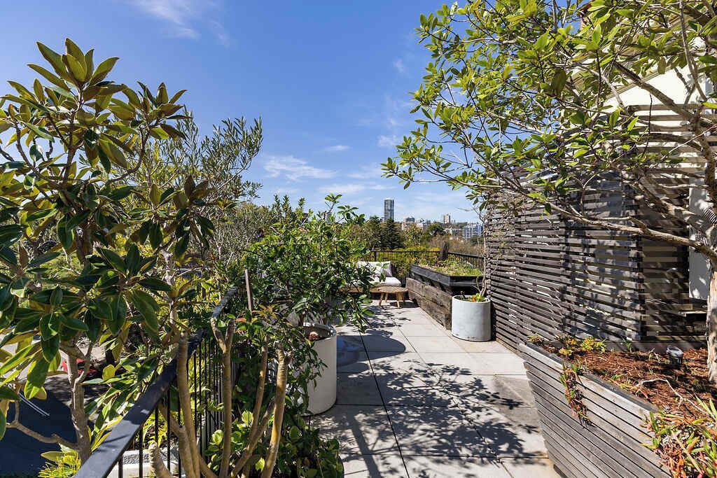 Photo of Others in Elizabeth Bay