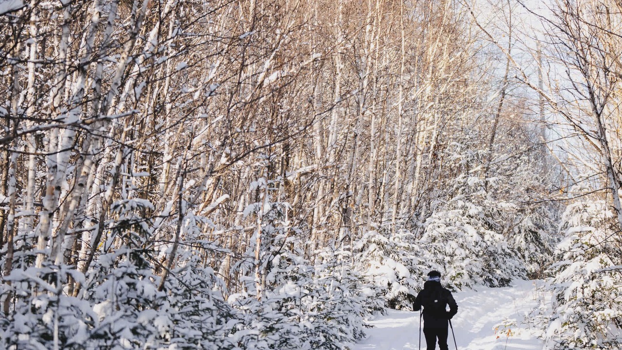 Photo of Others in Morin Heights