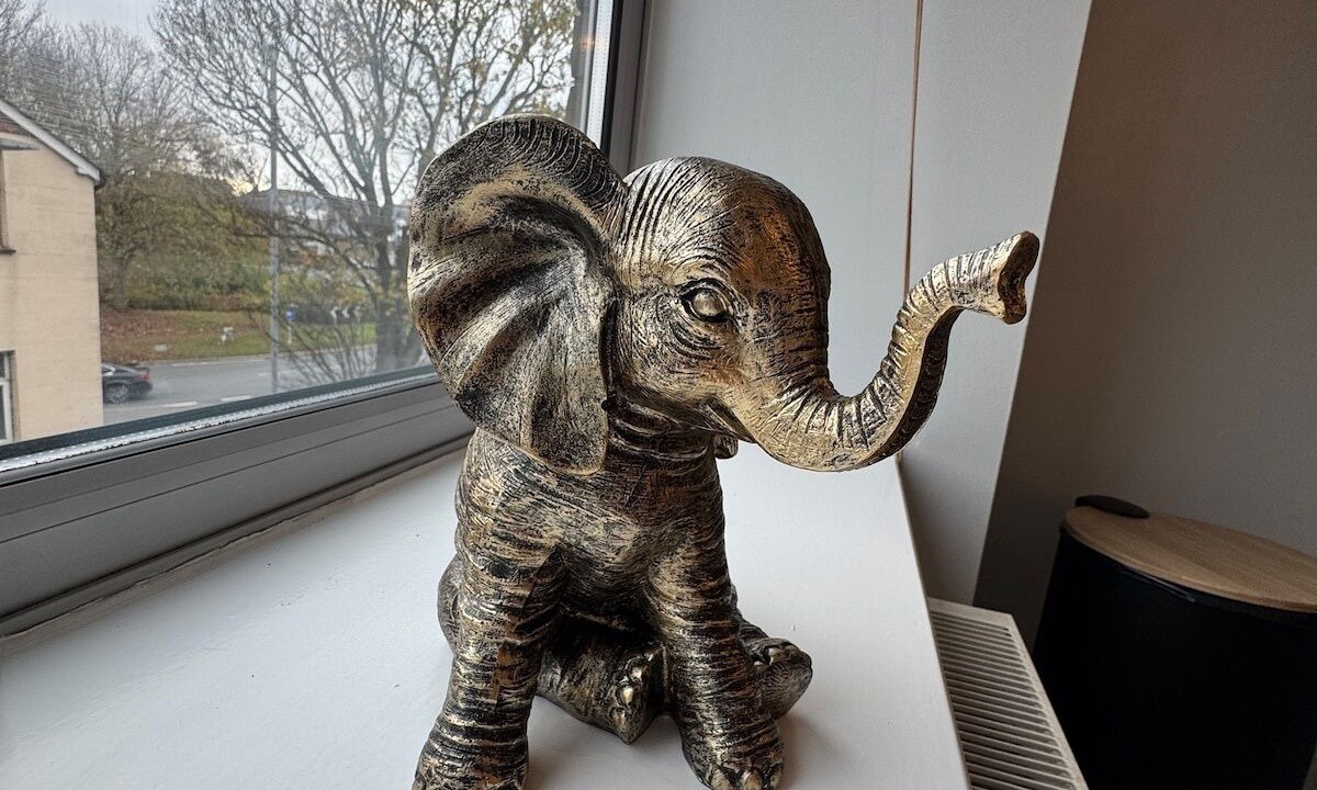 Photo of Others in Great Baddow