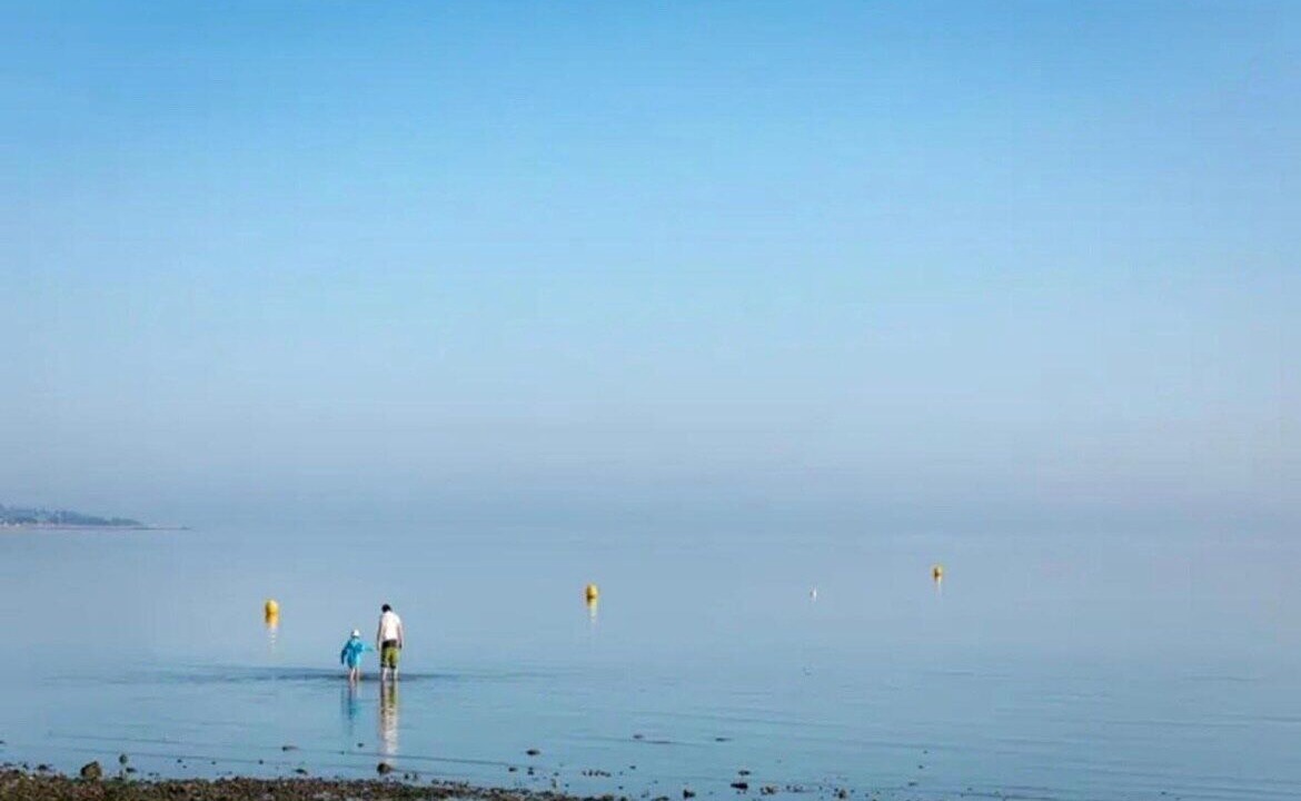 Photo of Others in Seasalter