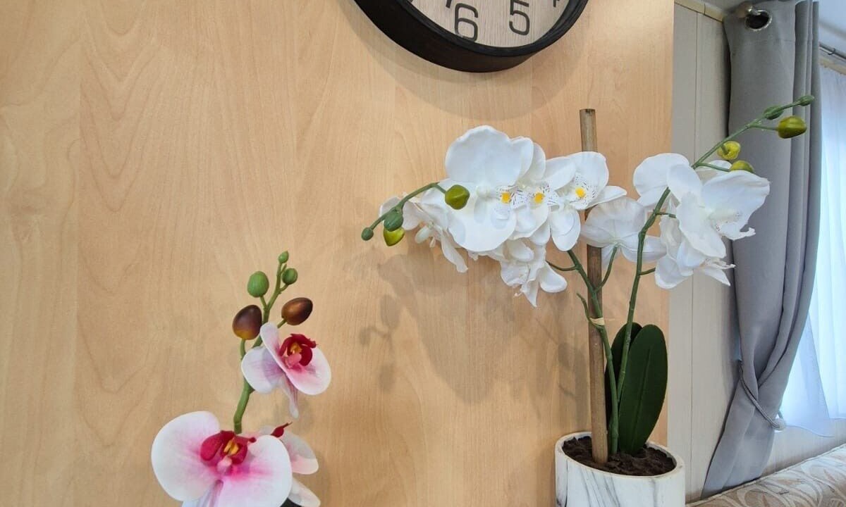 Photo of Others in Seasalter