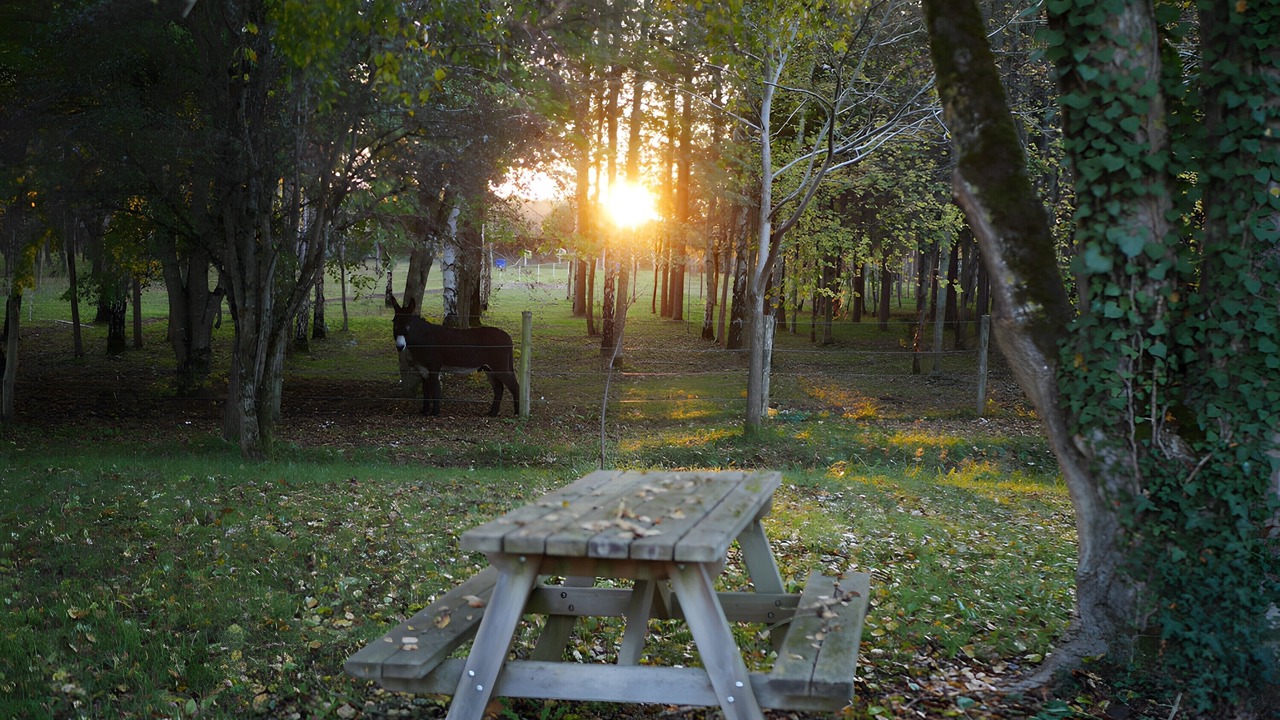 Photo of Outdoor in Avrille-les-Ponceaux