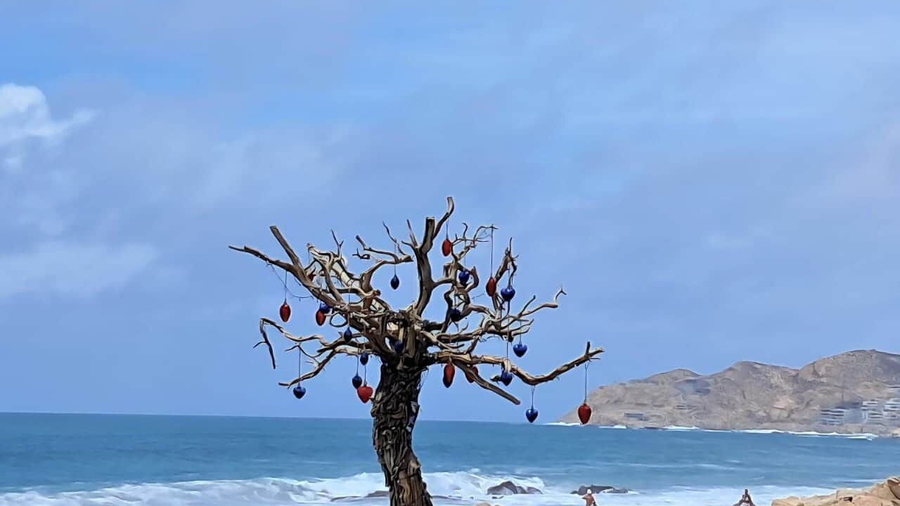 Photo of Others in Juarez