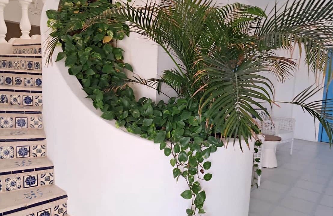 Photo of Others in Juarez