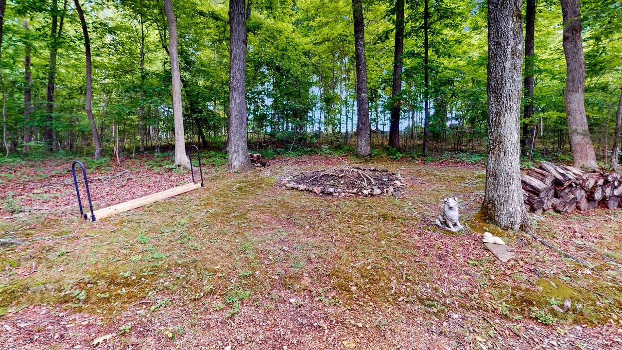 Photo of Outdoor in Flat Hollow Marina