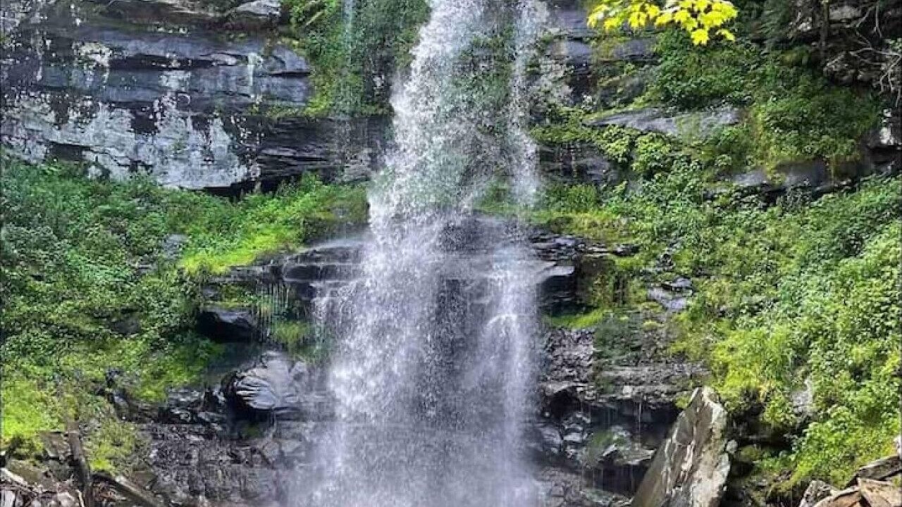 Photo of Others in Catskill