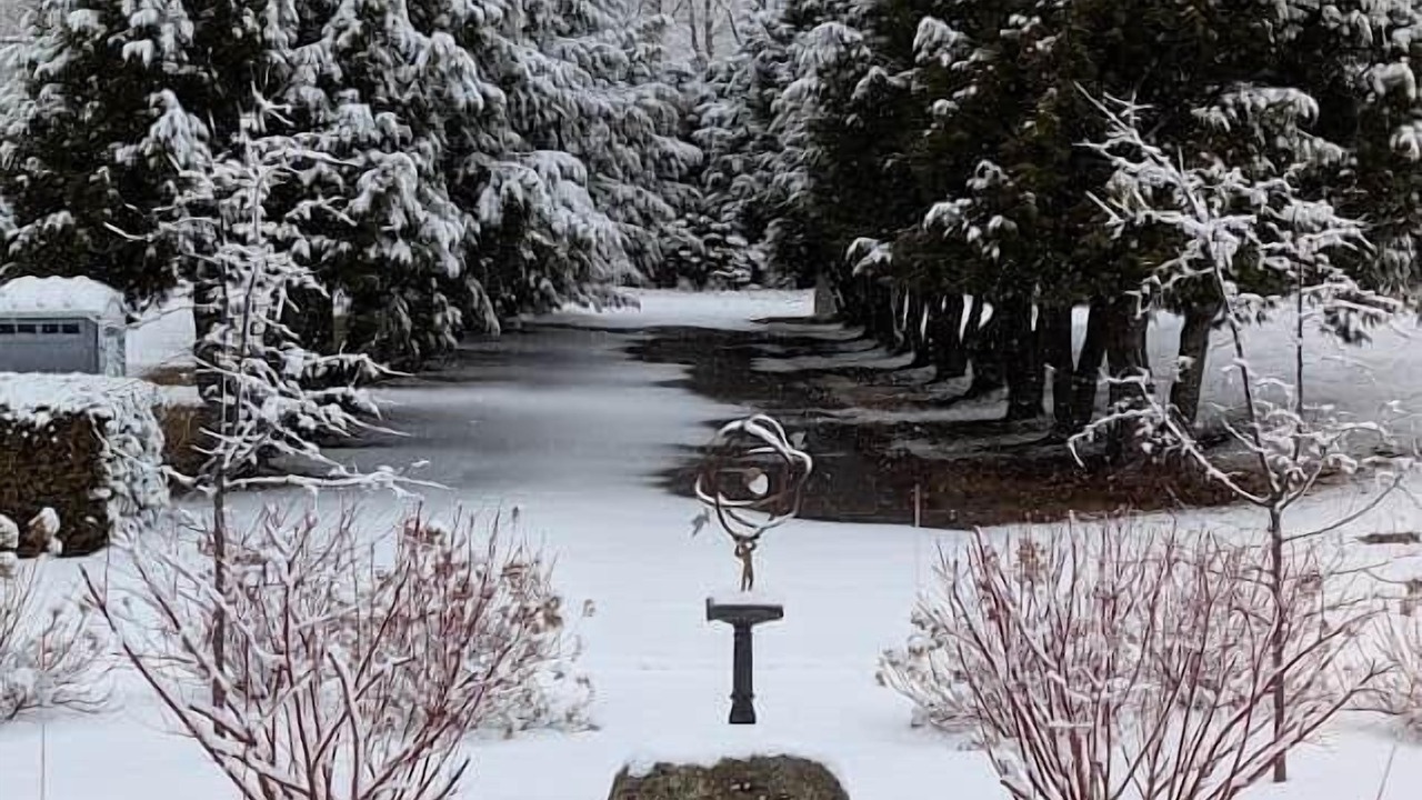 Photo of Others in Lake Placid