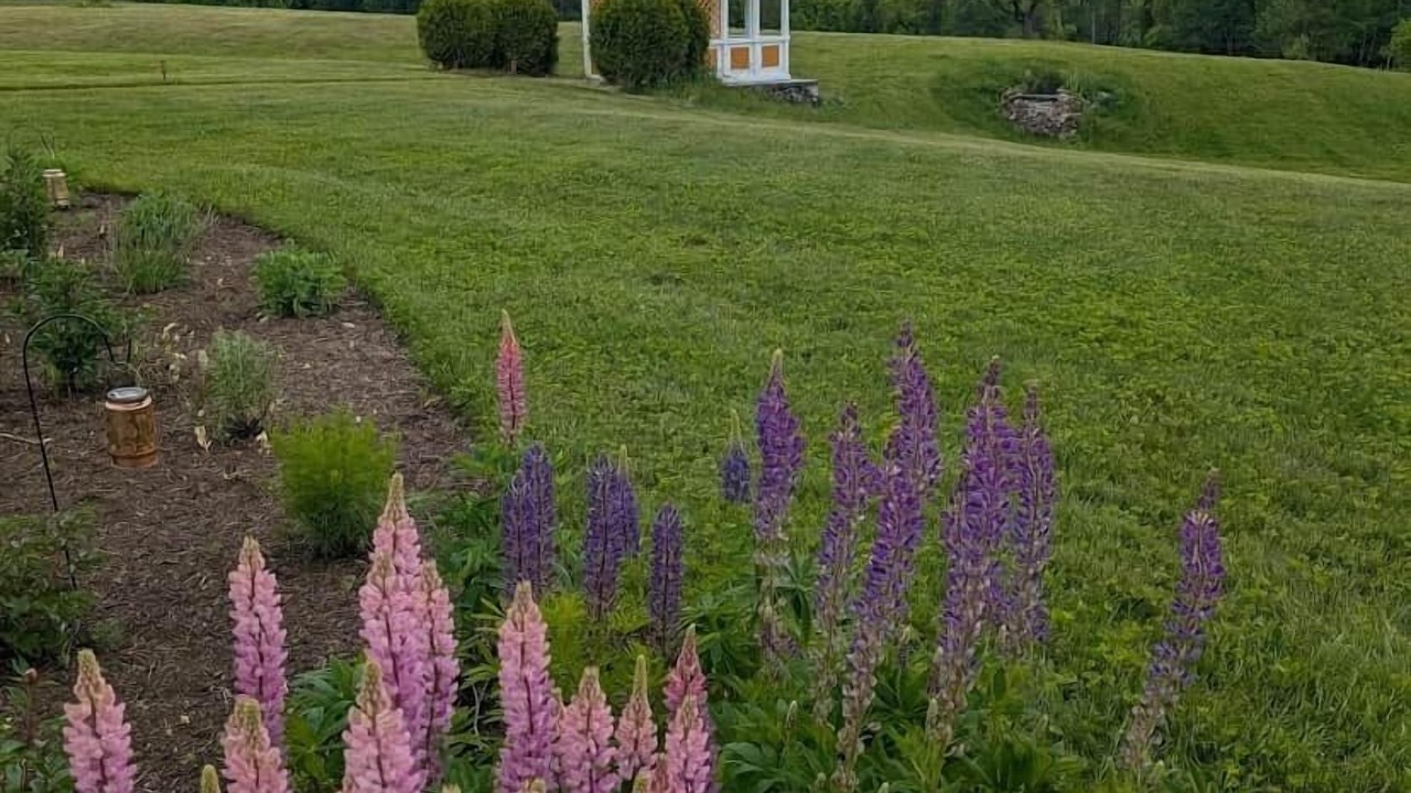 Photo of Outdoor in Lake Placid
