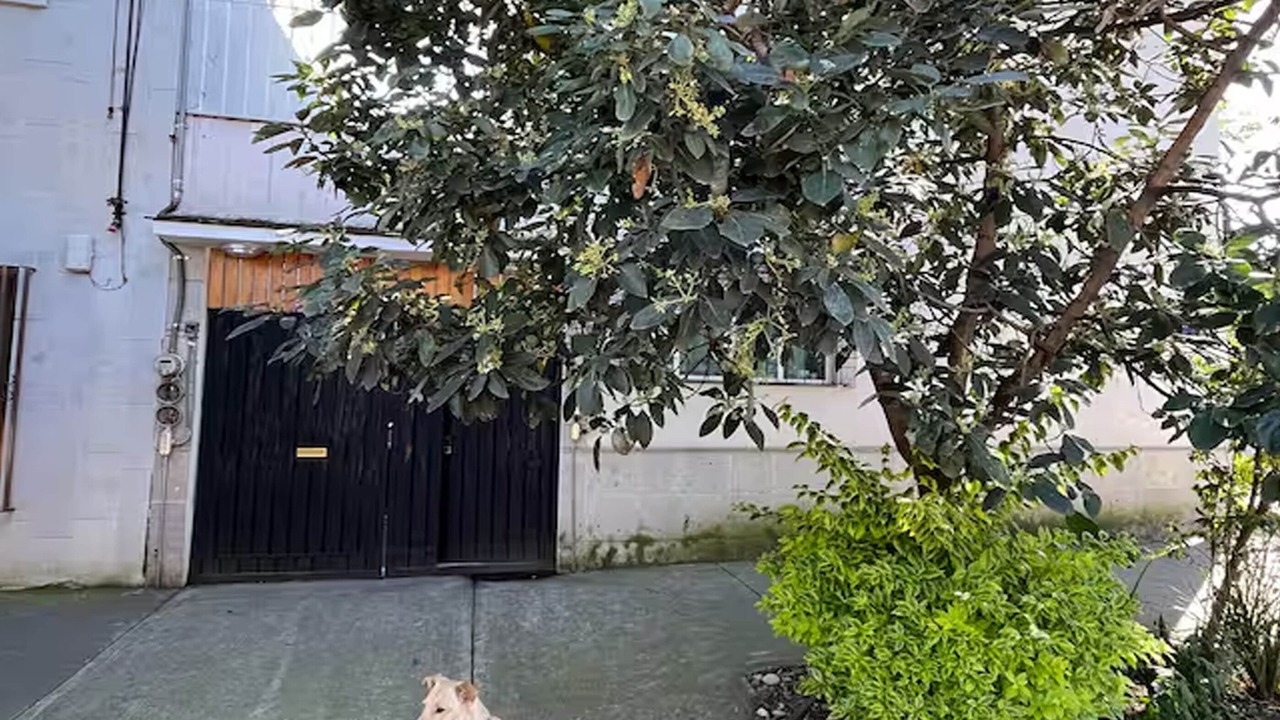 Photo of Outdoor in Del Carmen