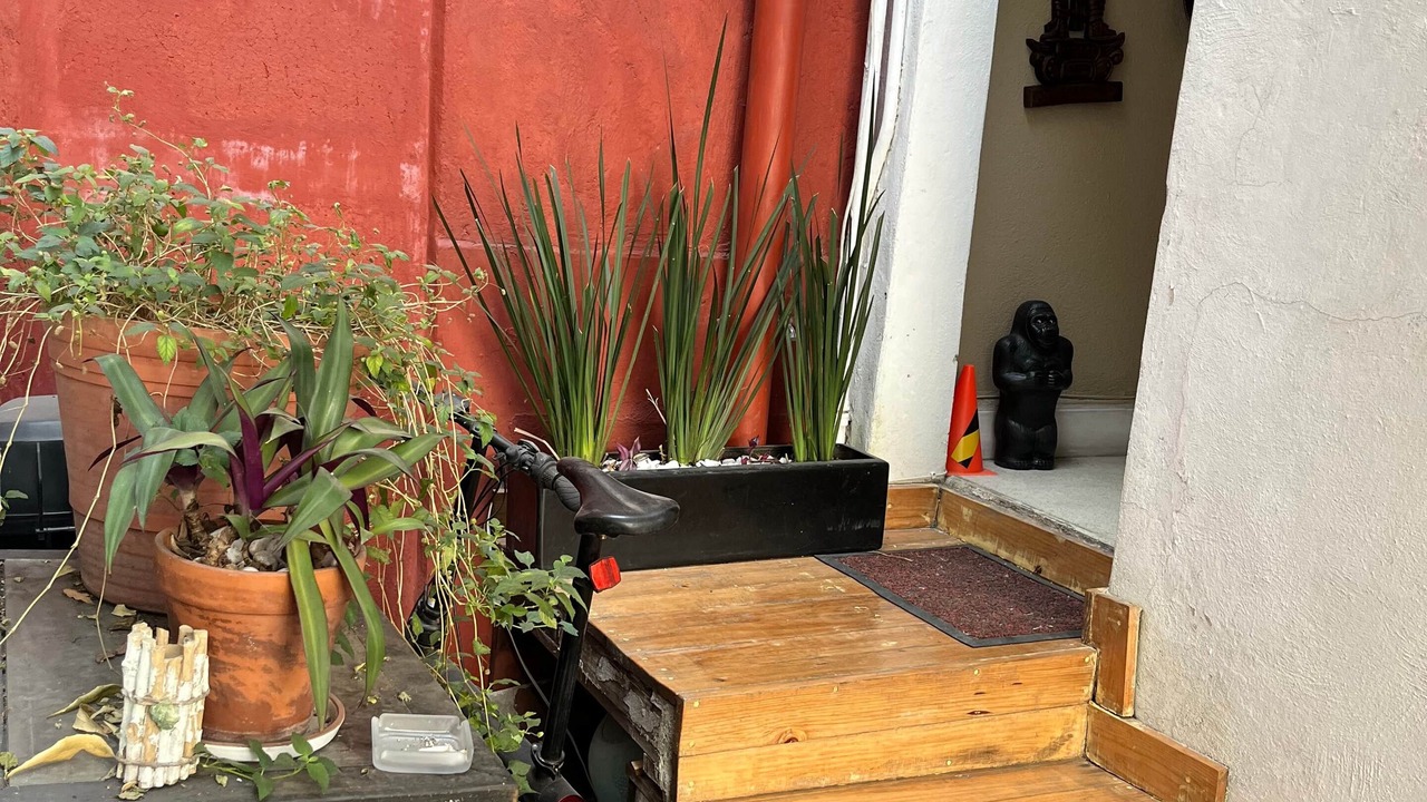 Photo of Outdoor in Del Carmen