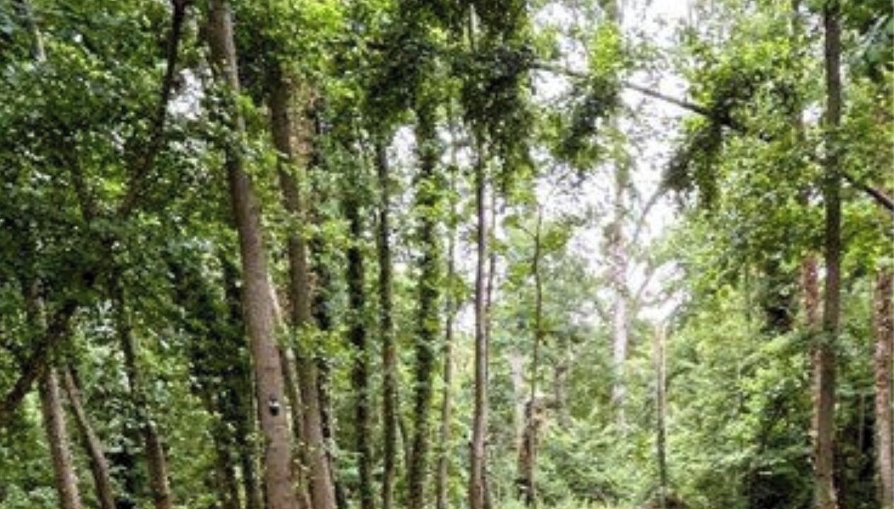 Photo of Others in Fatouville-Grestain