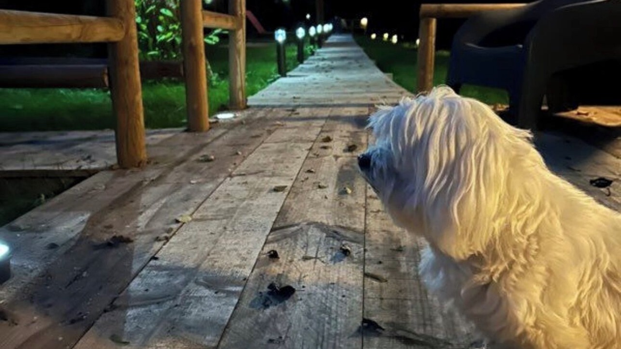 Photo of Outdoor in Fatouville-Grestain