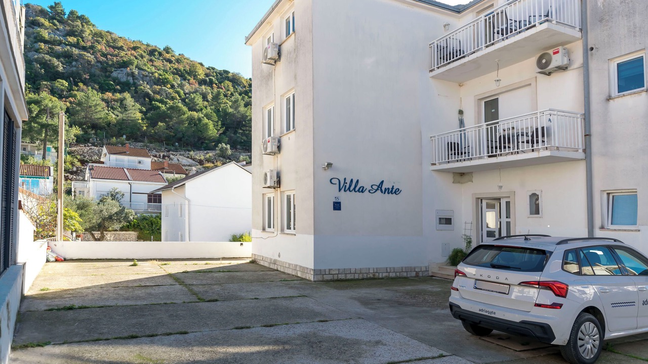 Photo of Outdoor in Blace
