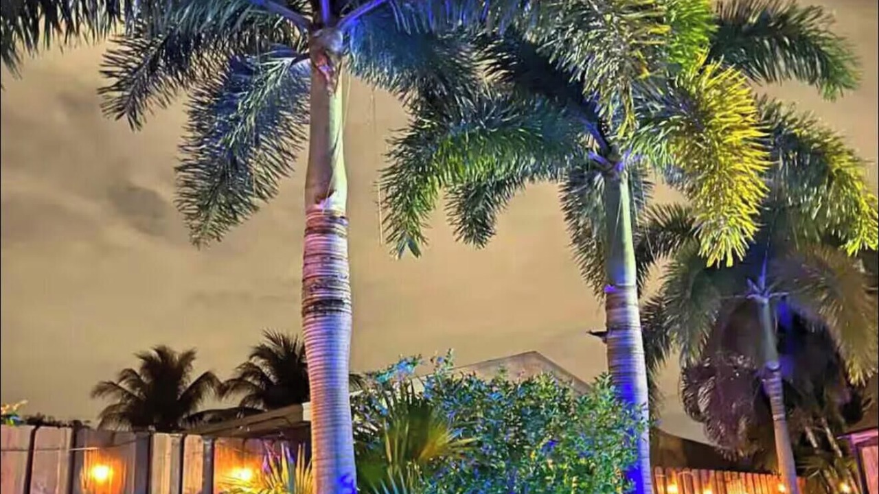 Photo of Outdoor in North Andrews Gardens