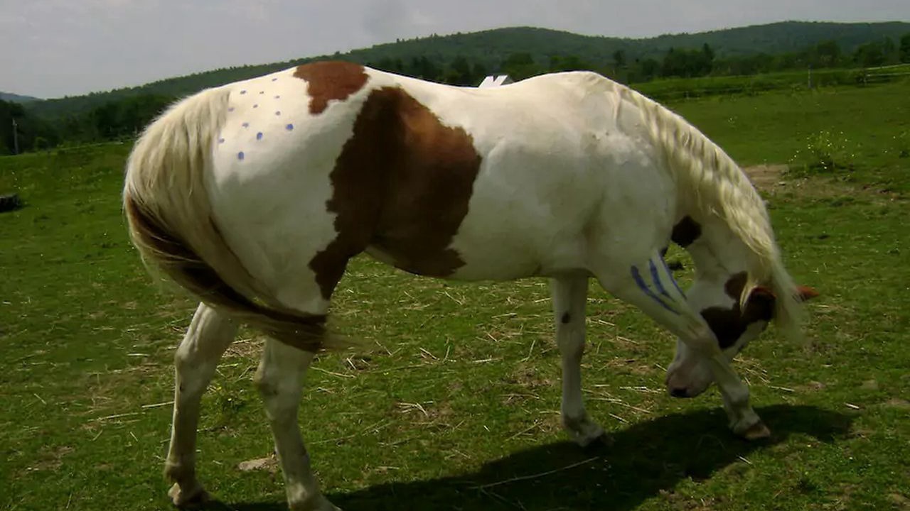 Photo of Others in New Haven