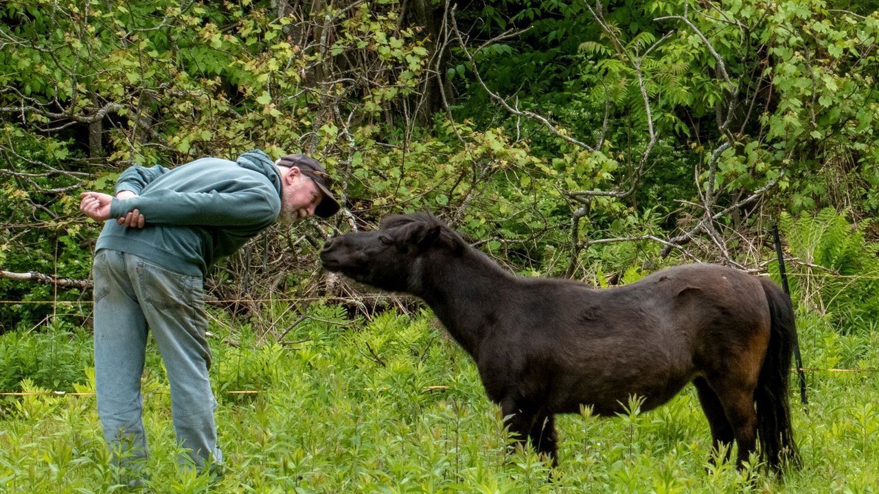 Photo of Others in New Haven