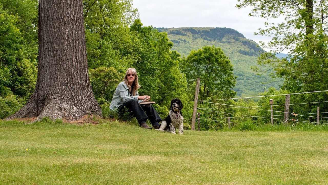 Photo of Outdoor in New Haven