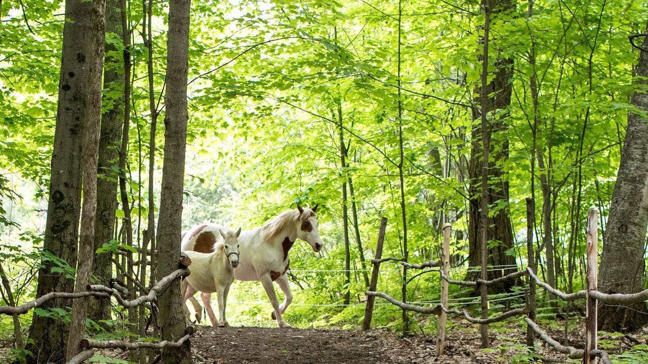 Photo of Others in New Haven
