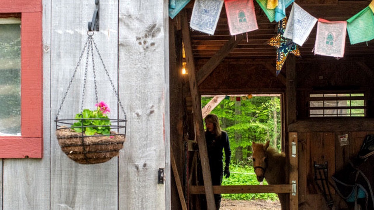 Photo of Others in New Haven