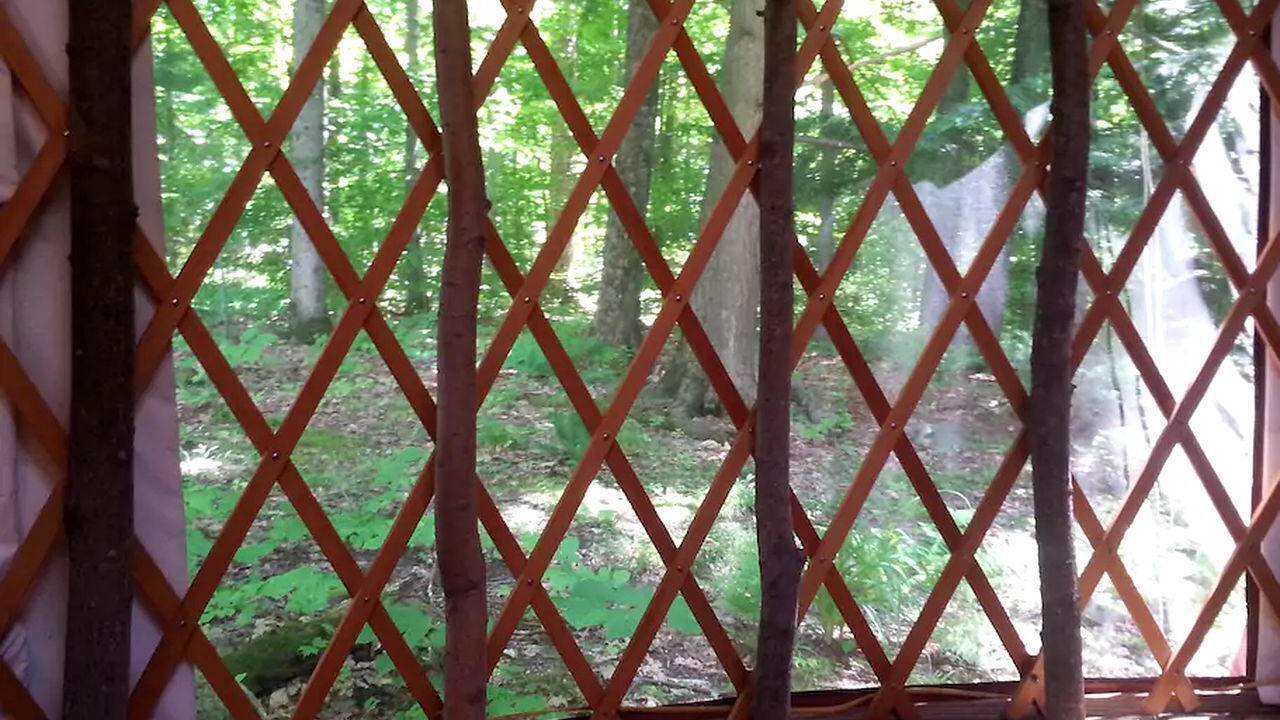 Photo of Others in New Haven