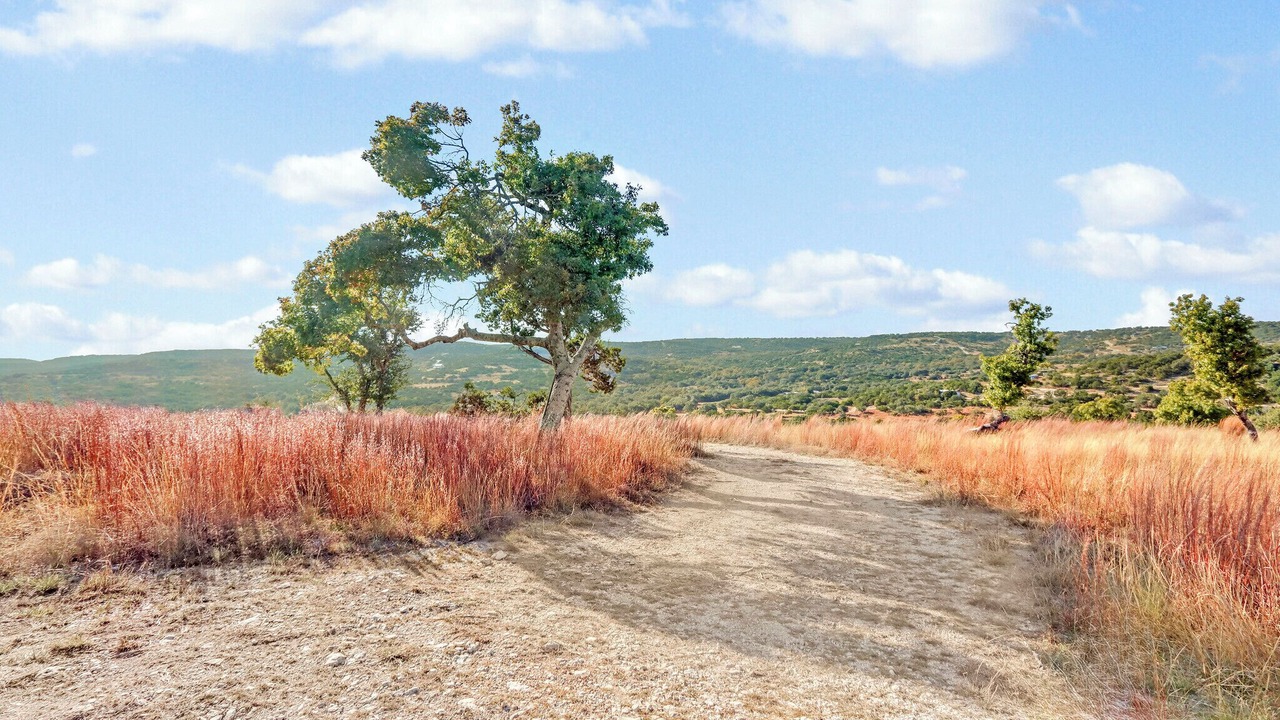 Photo of Others in Blanco