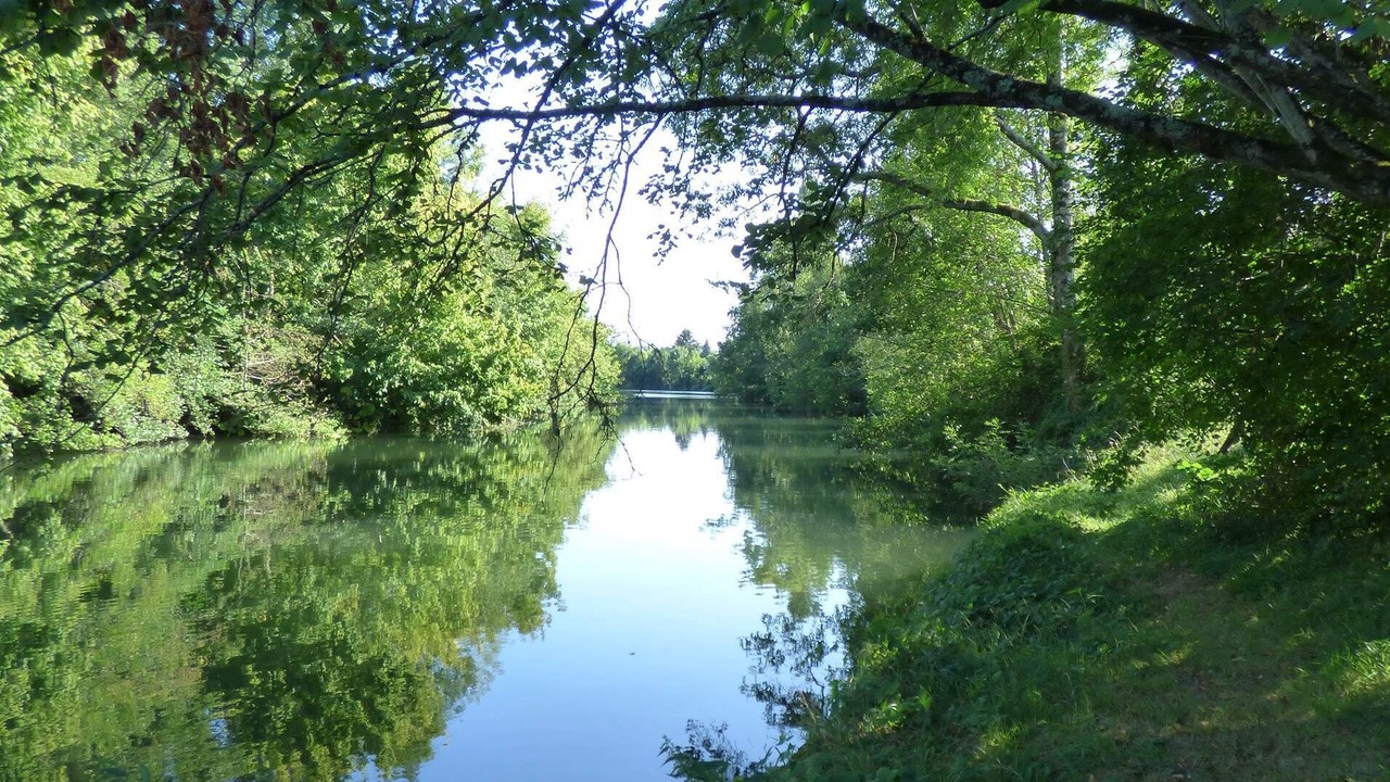 Photo of Others in Saint-Front-de-Pradoux