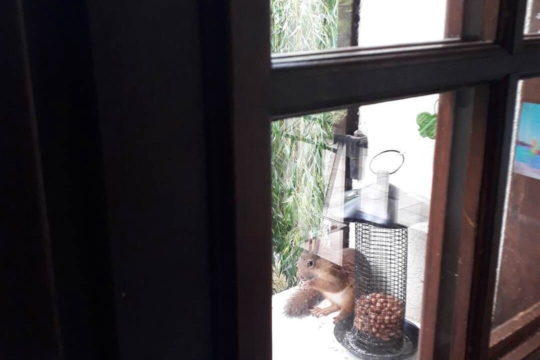 Photo of Others in Saint-Front-de-Pradoux