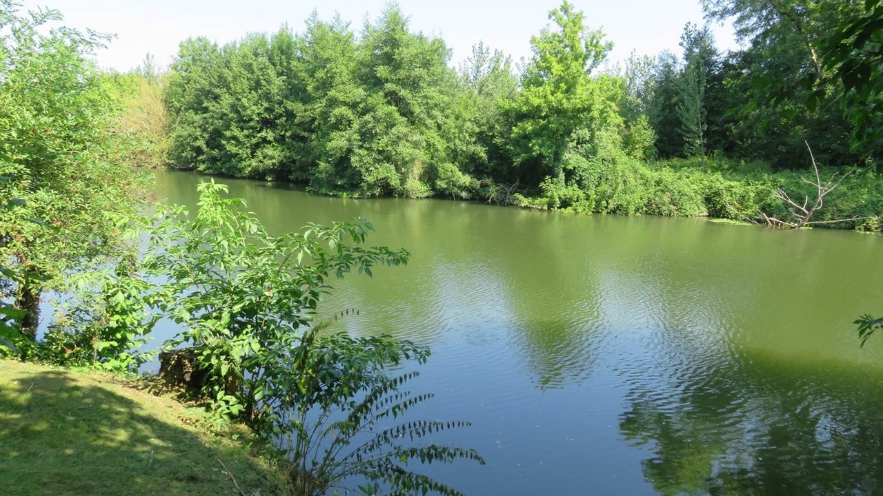Photo of Others in Saint-Front-de-Pradoux