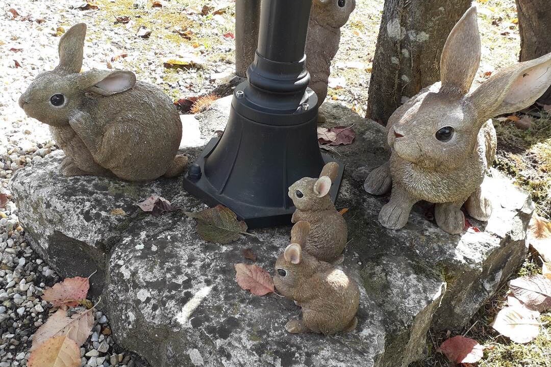 Photo of Others in Saint-Front-de-Pradoux