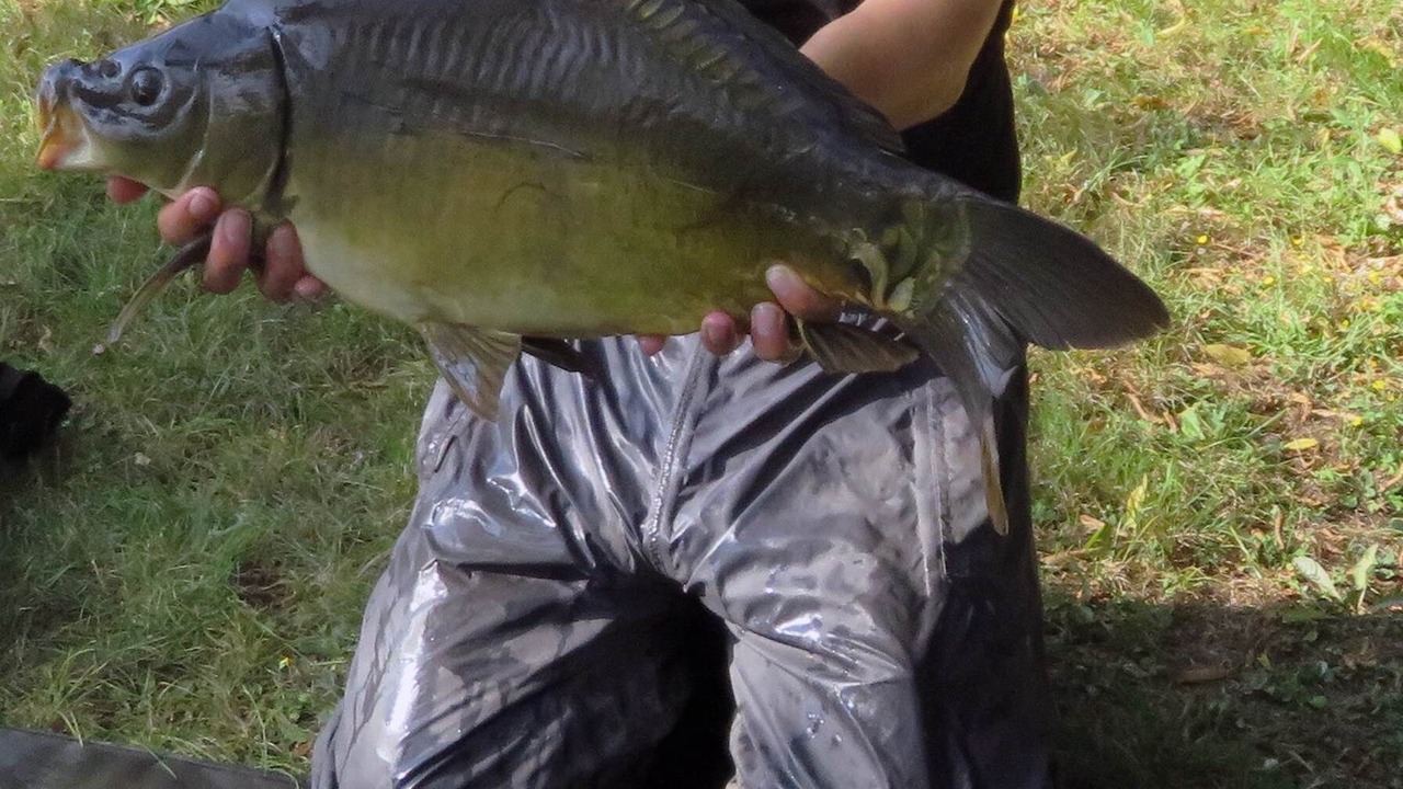 Photo of Others in Saint-Front-de-Pradoux