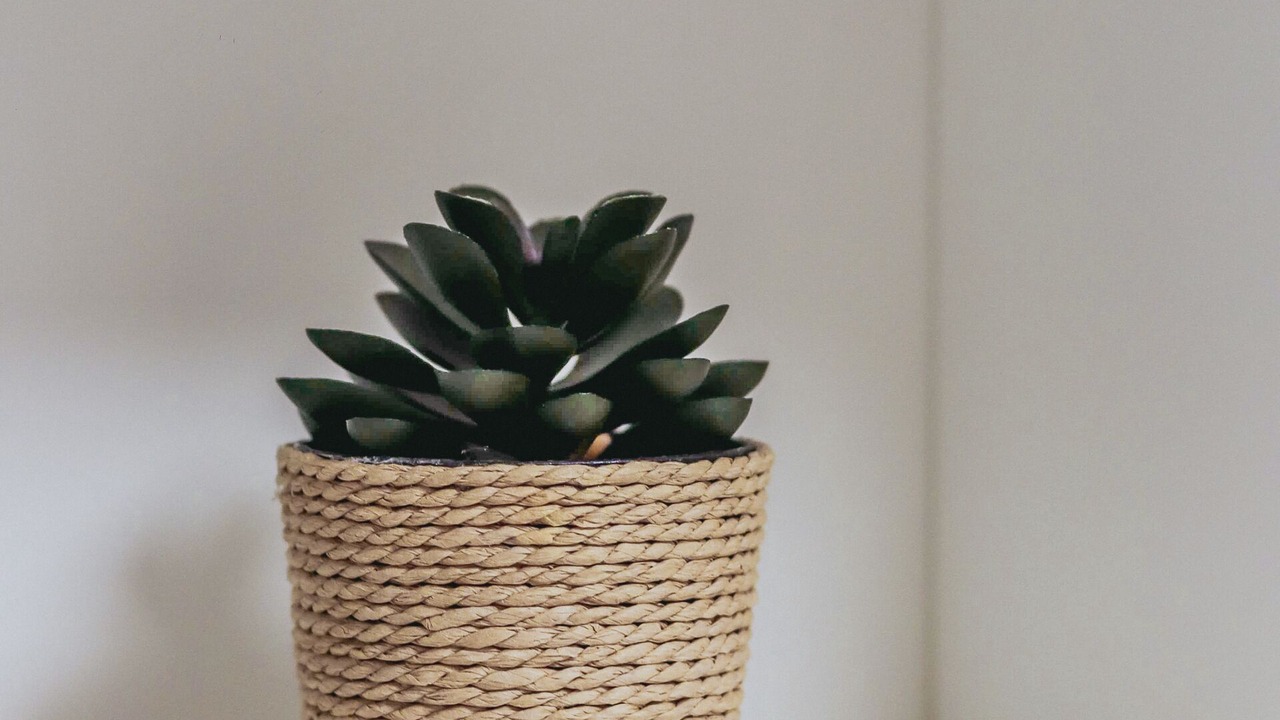 Photo of Others in Botwell