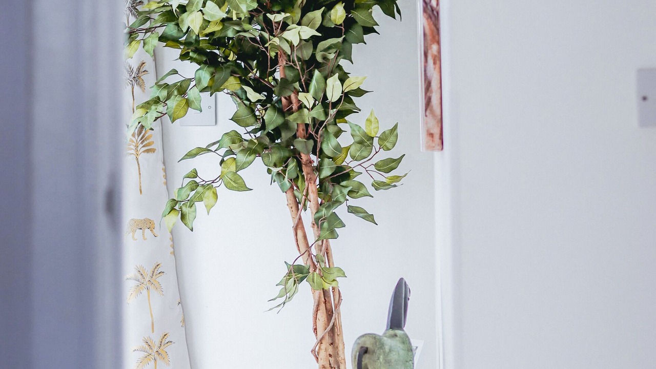 Photo of Others in Botwell