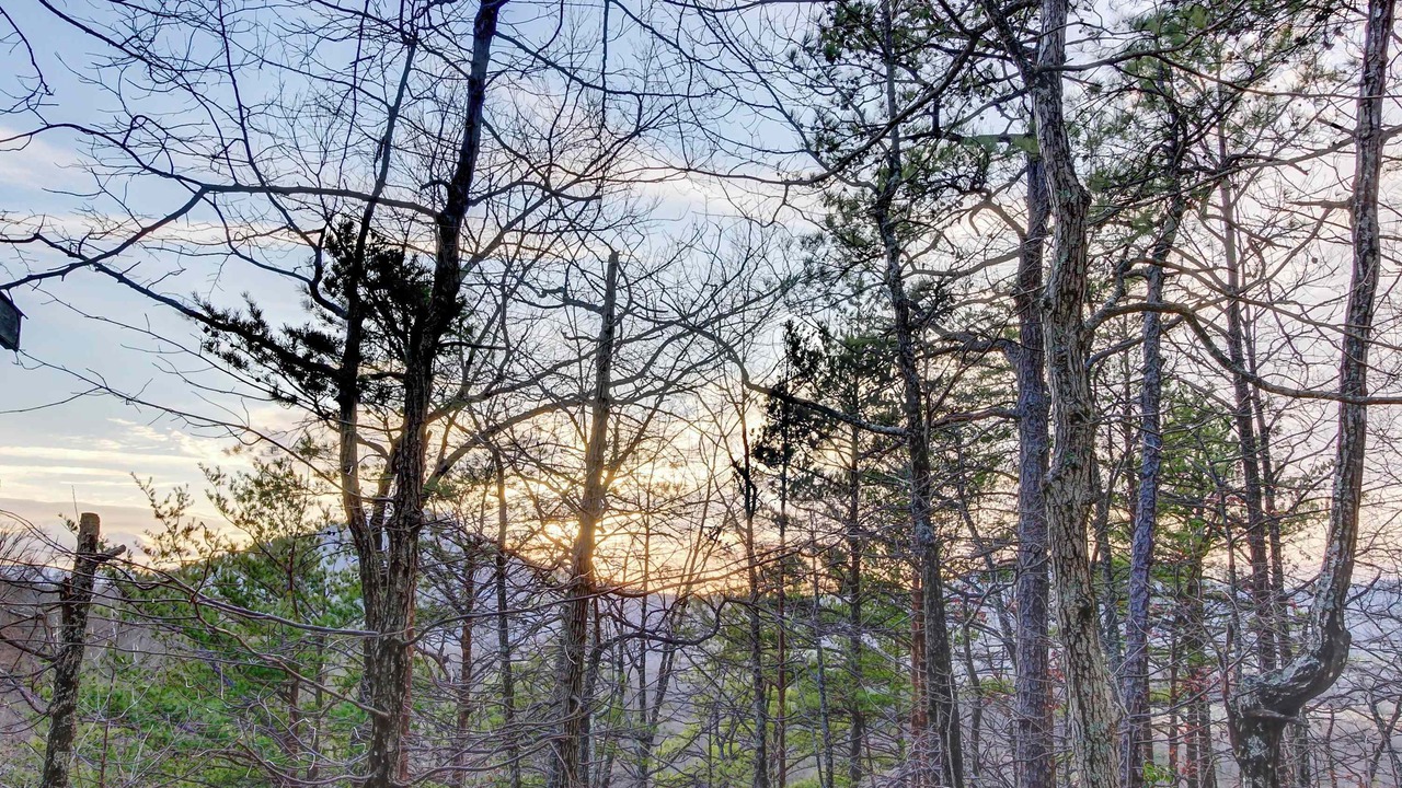 Photo of Others in Smoky Mountains