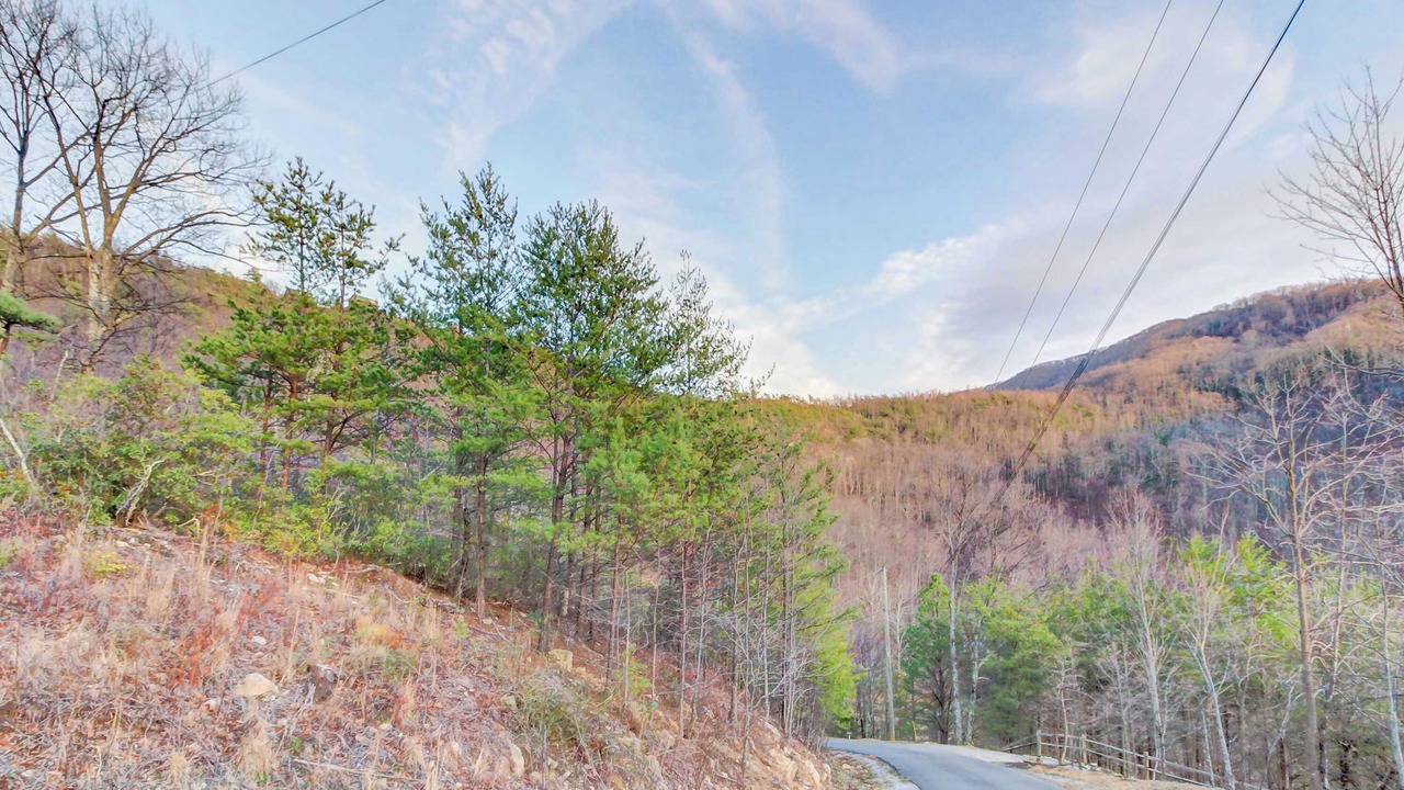 Photo of Others in Smoky Mountains