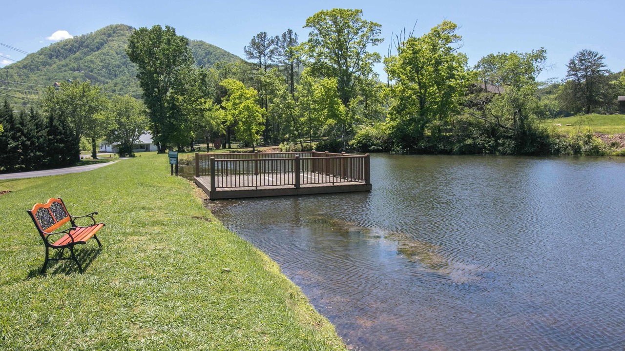 Photo of Outdoor in Smoky Mountains