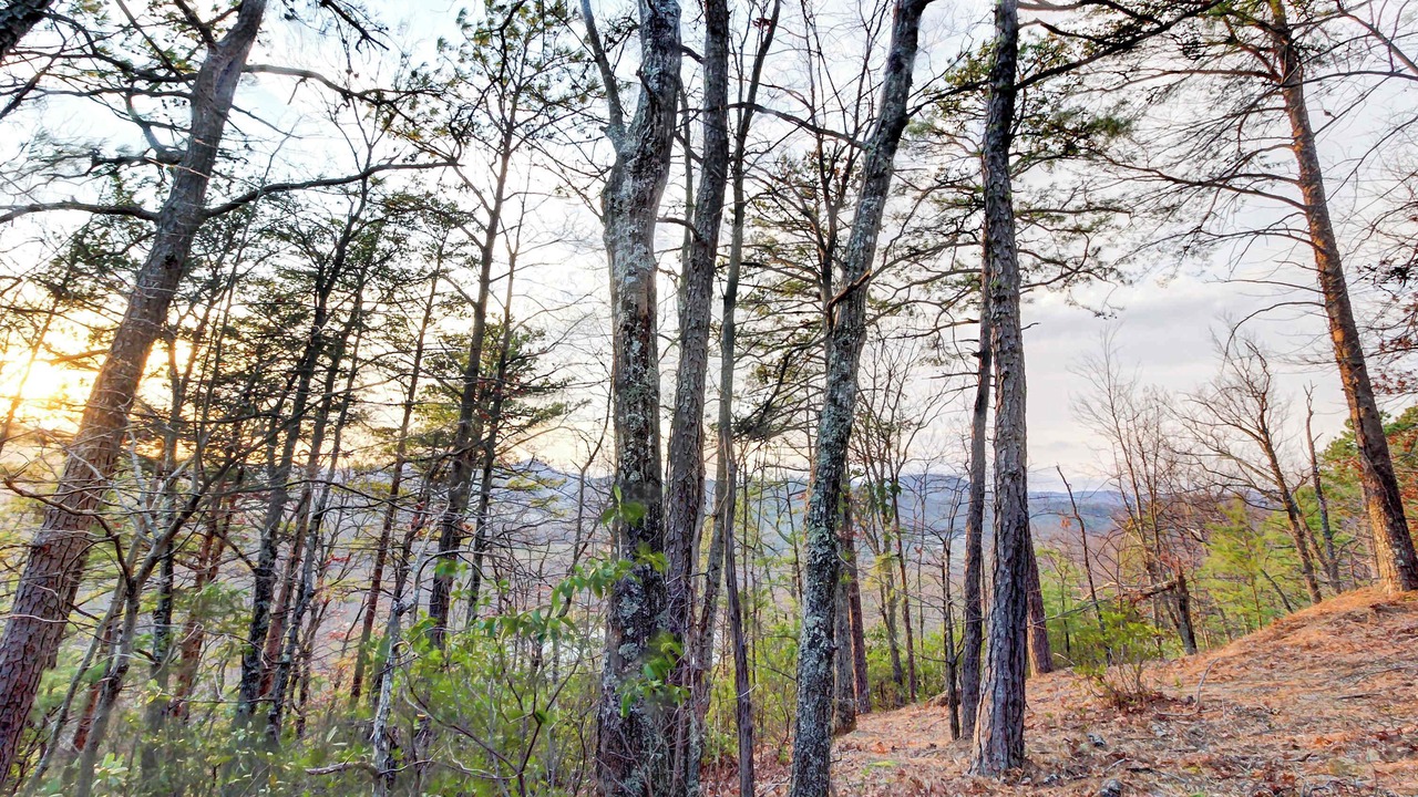 Photo of Others in Smoky Mountains