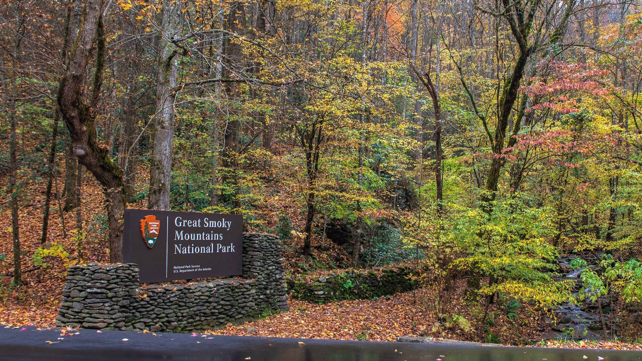 Photo of Others in Smoky Mountains