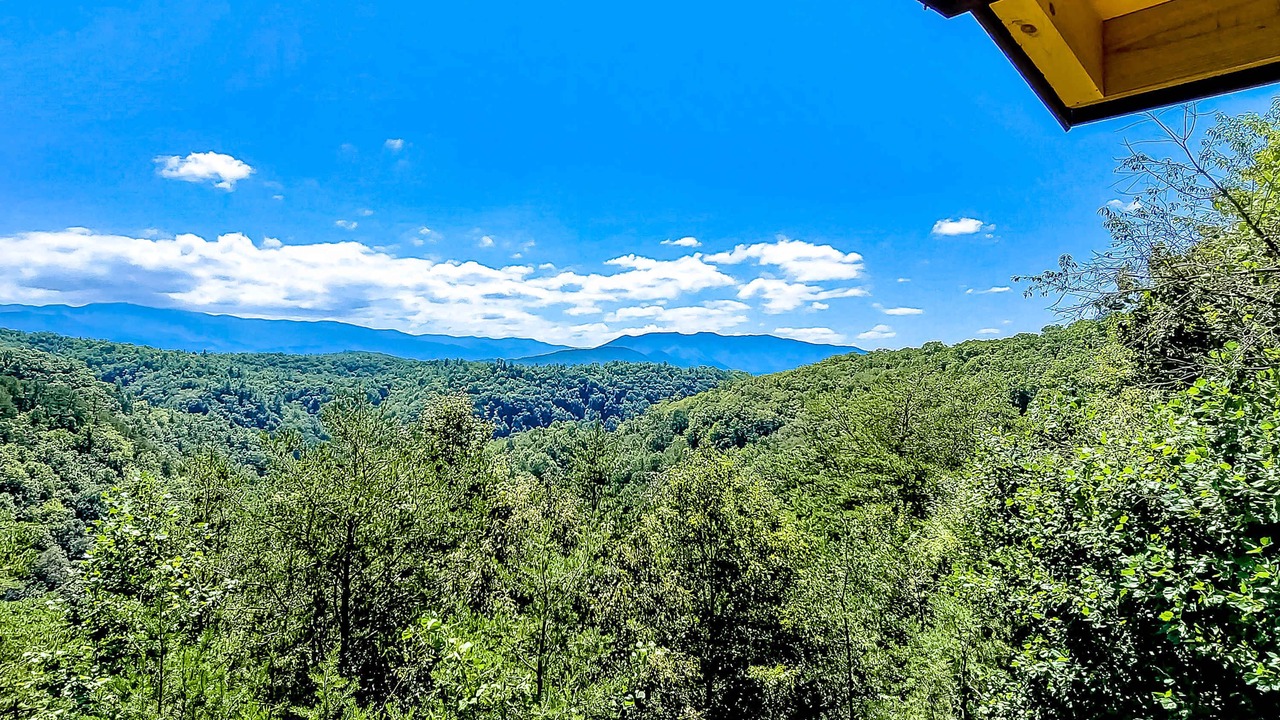 Photo of Others in Townsend