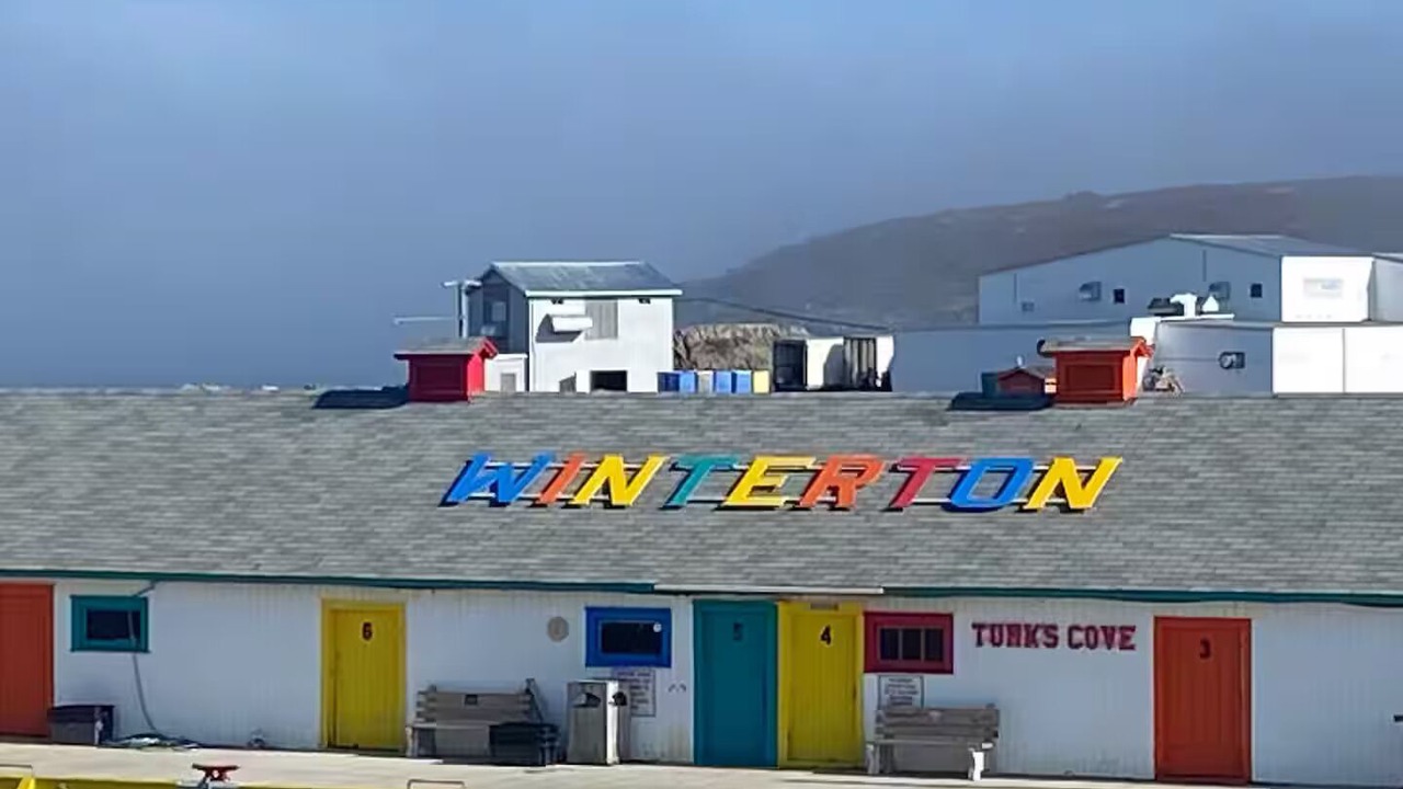 Photo of Outdoor in Newfoundland