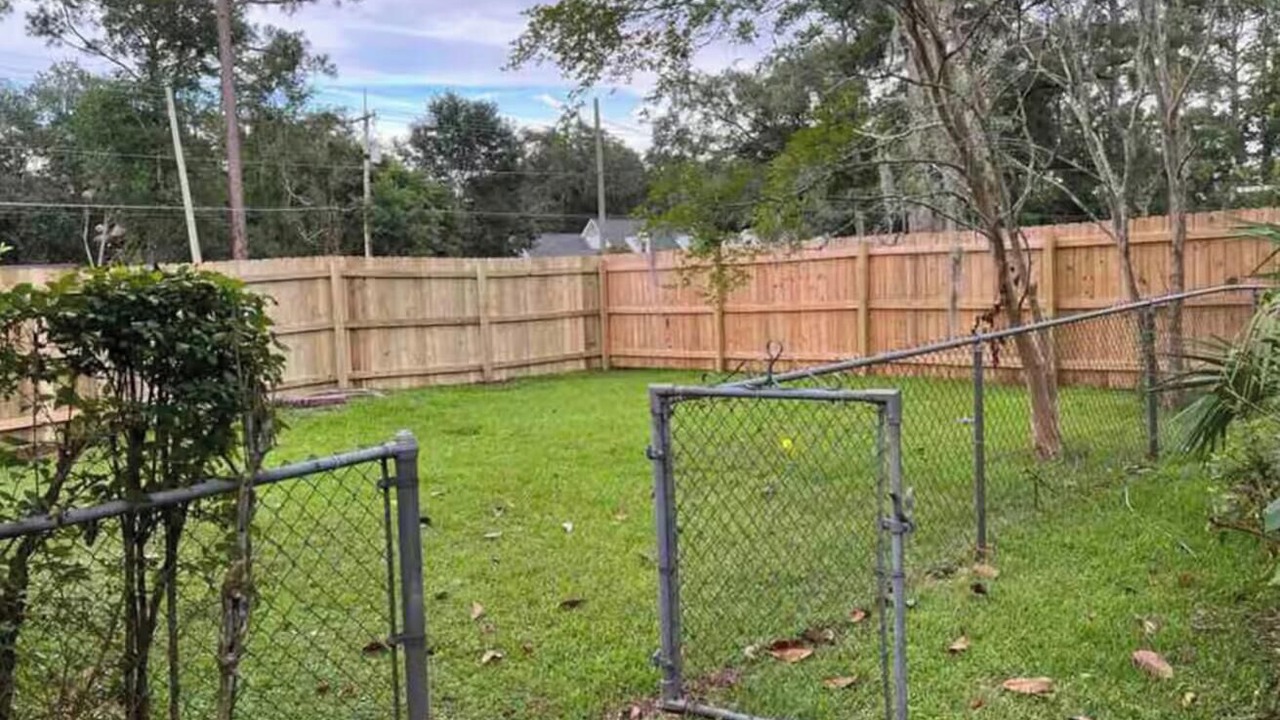 Photo of Outdoor in Tallahassee