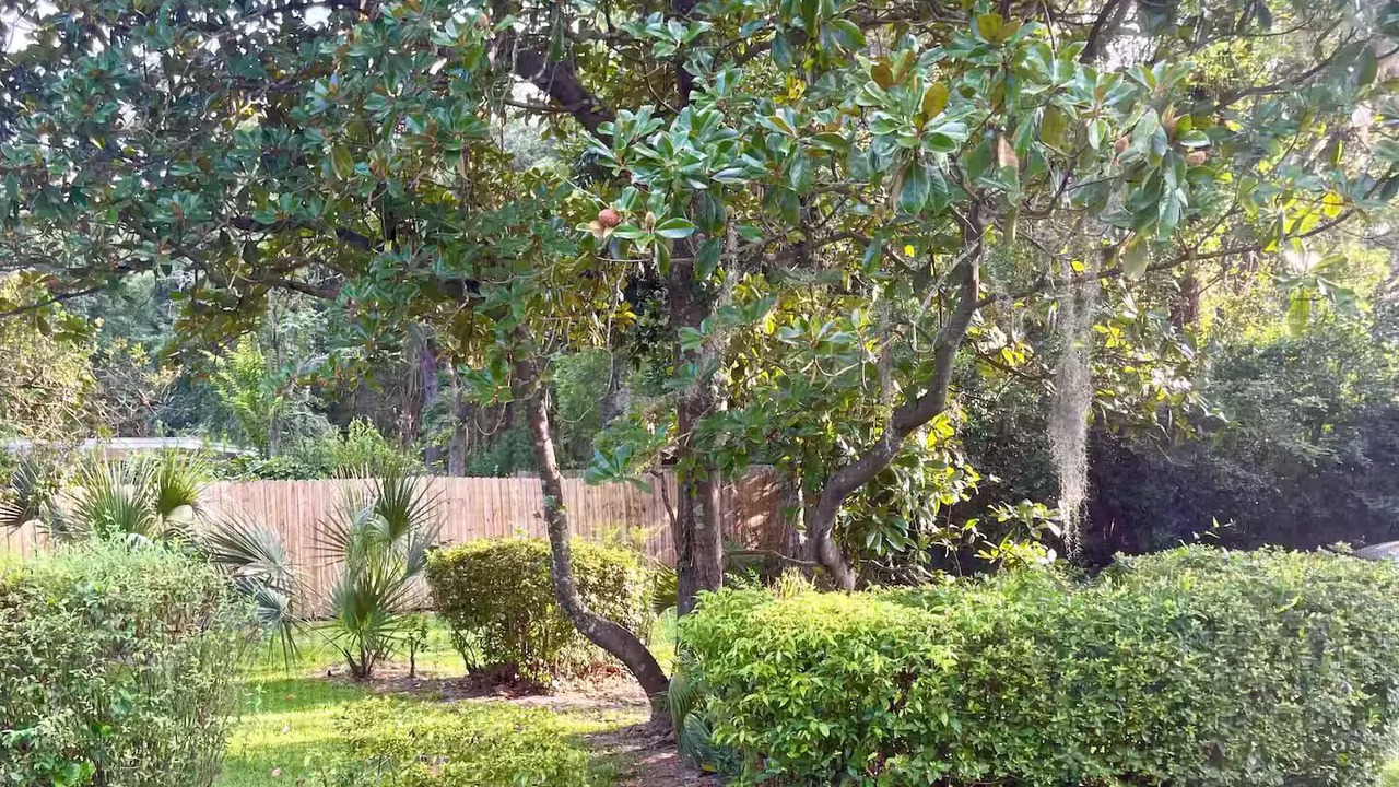 Photo of Outdoor in Tallahassee