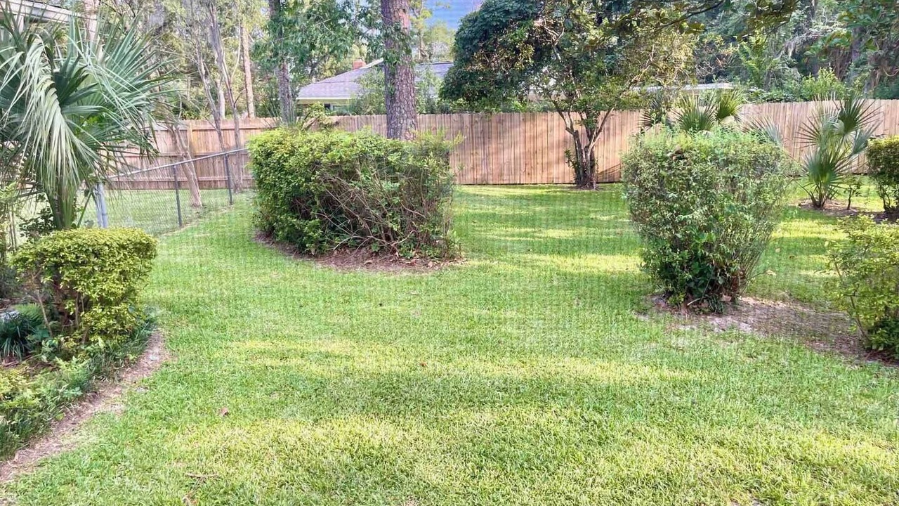 Photo of Outdoor in Tallahassee